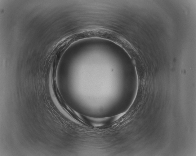 X0000085310822200703091443