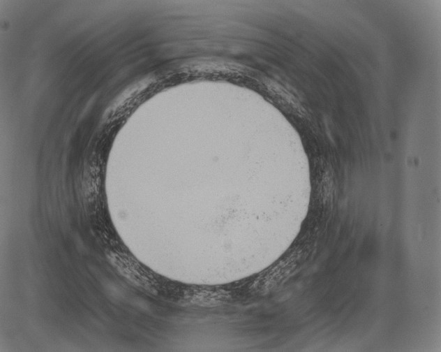 X0000085310824200703091443