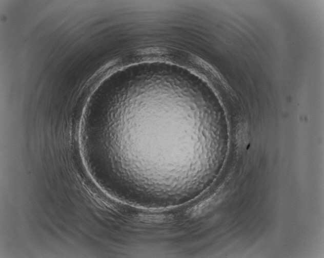 X0000085310825200703091443