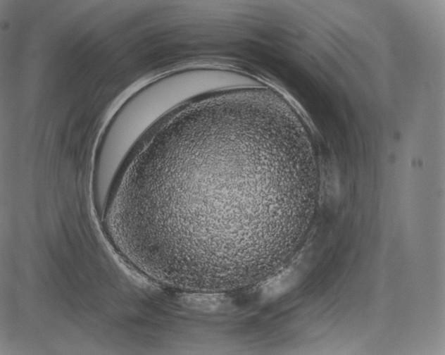 X0000085310853200703091444