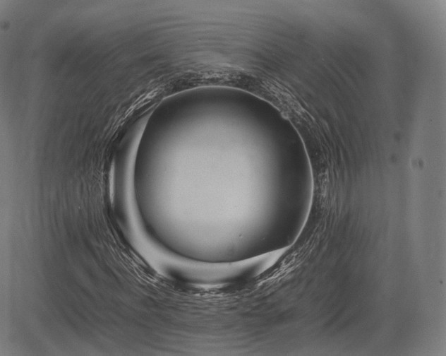 X0000085310916200703091442