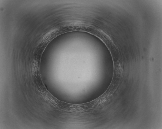 X0000085310918200703091442