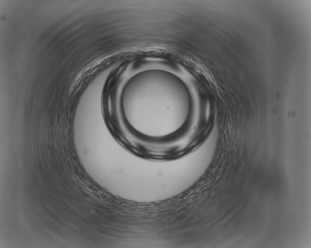 X0000085310920200703091442