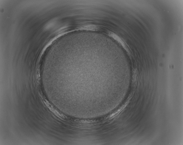 X0000085310923200703091442