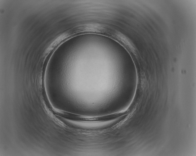 X0000085310938200703091442