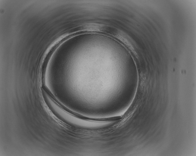 X0000085310939200703091442