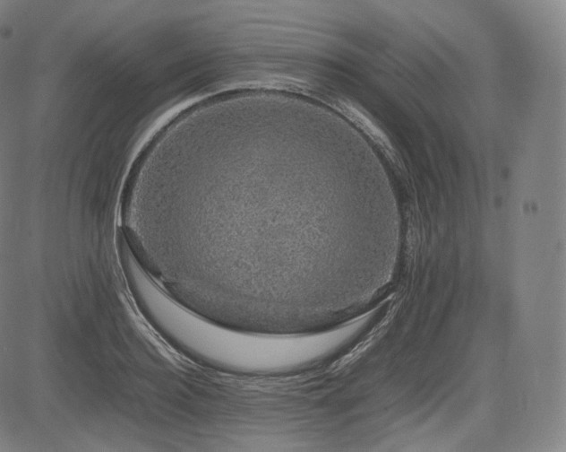 X0000085310940200703091442