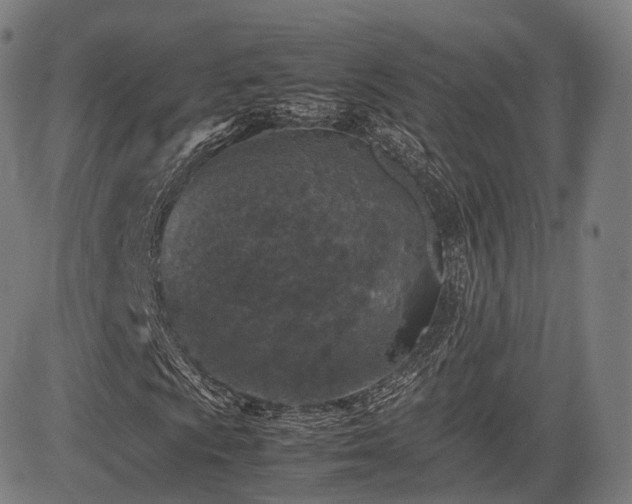 X0000085311009200703091440