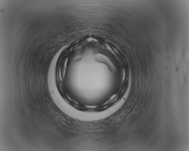 X0000085311010200703091440