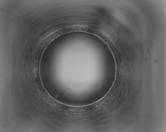 X0000085311015200703091440