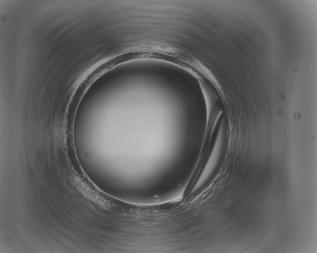 X0000085311020200703091440