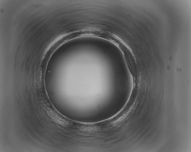 X0000085311021200703091440