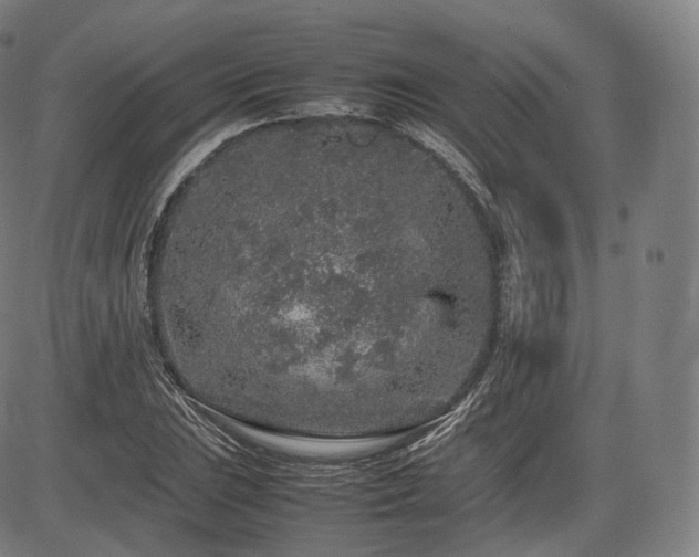 X0000085311023200703091440