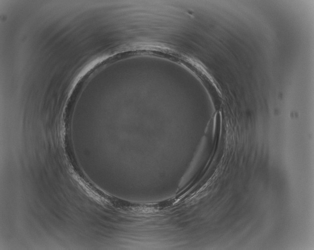 X0000085311024200703091440