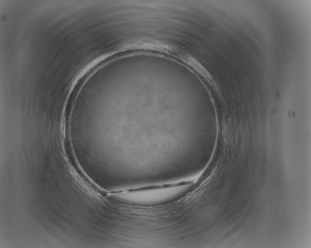 X0000085311028200703091440