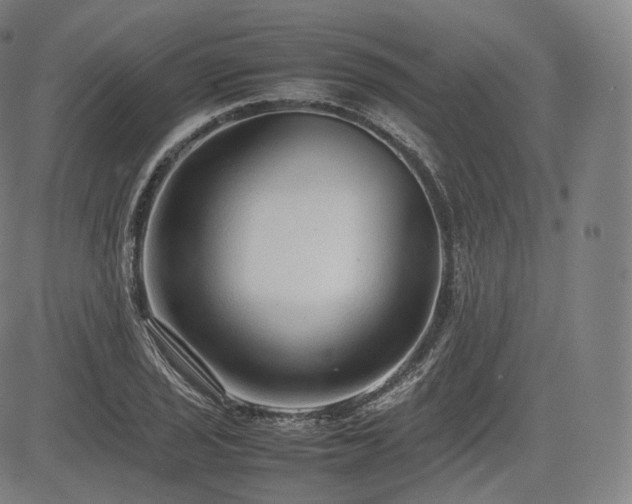 X0000085311029200703091440