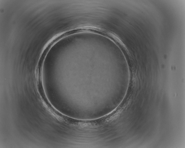 X0000085311032200703091440