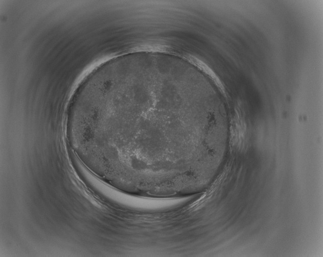 X0000085311035200703091440