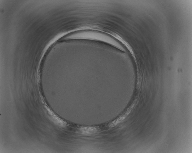 X0000085311037200703091440