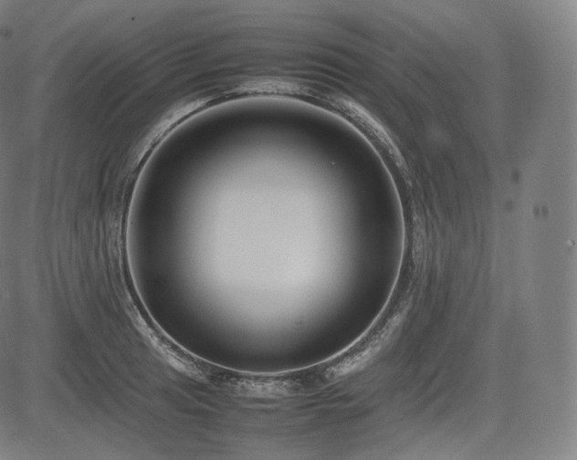 X0000085311041200703091440