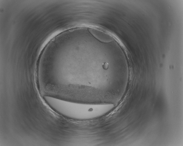 X0000085311048200703091440