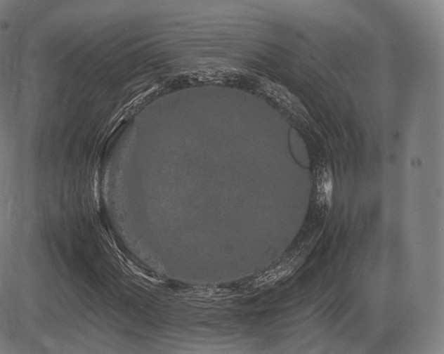 X0000085311060200703091440