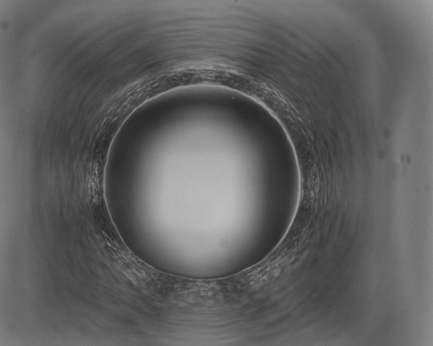 X0000085311062200703091440