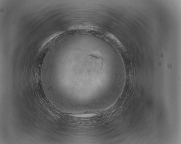 X0000085311064200703091440