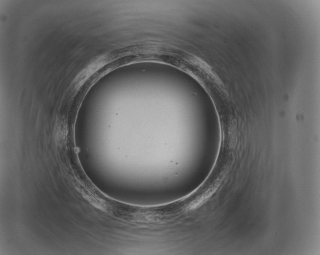 X0000085311065200703091440