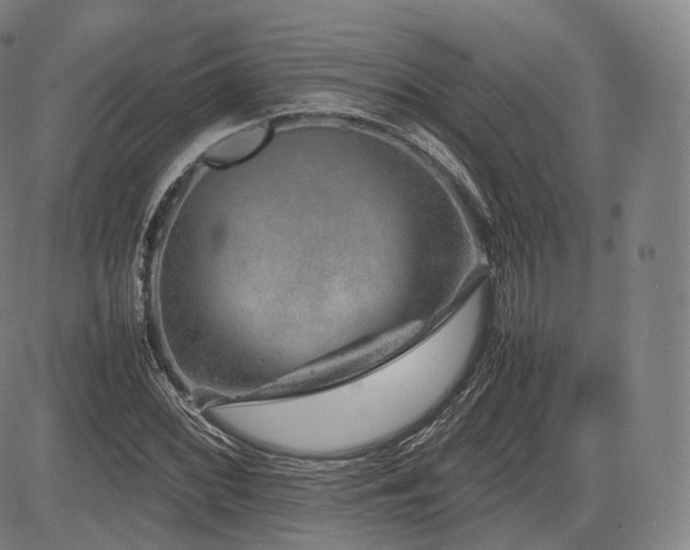 X0000085311068200703091440