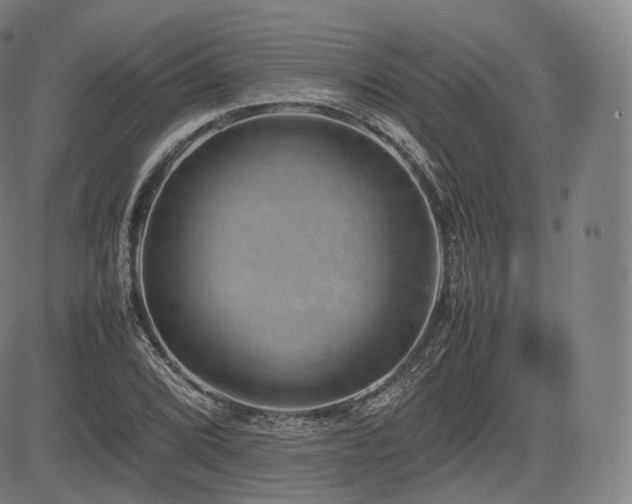 X0000085311072200703091440