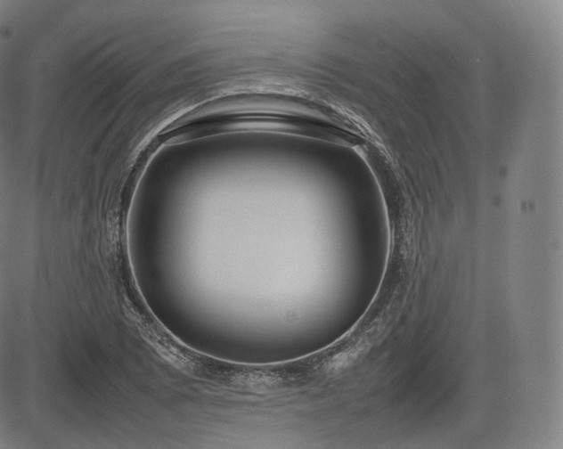X0000085311073200703091440