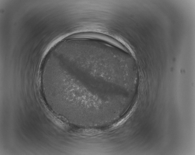 X0000085311077200703091439