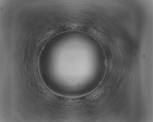 X0000085311105200703091438