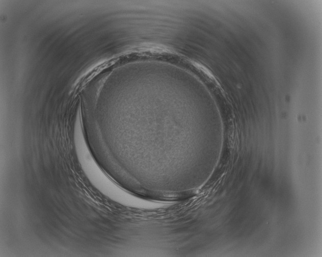 X0000085311112200703091438