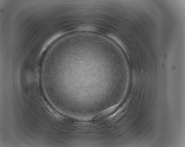 X0000085311115200703091438
