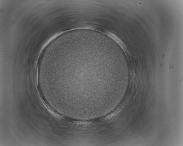 X0000085311127200703091439