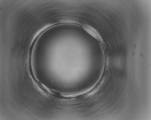 X0000085311149200703091439