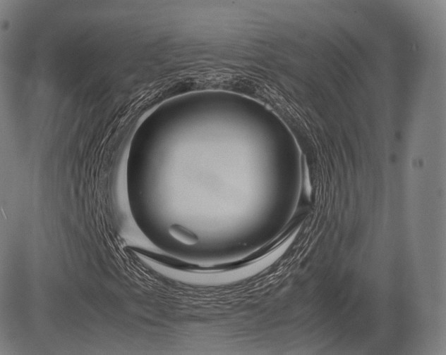 X0000085311153200703091438