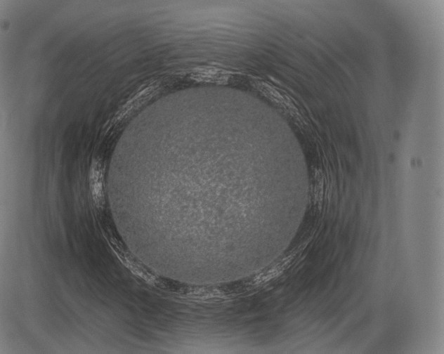 X0000085311154200703091438