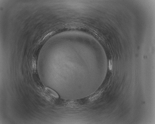 X0000085311155200703091438