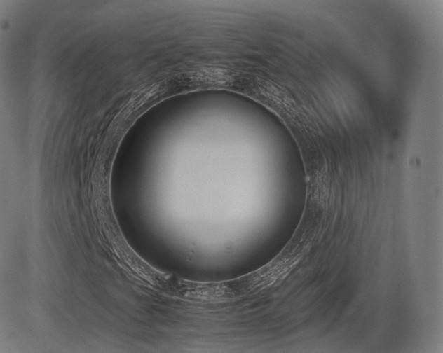 X0000085311201200703091437