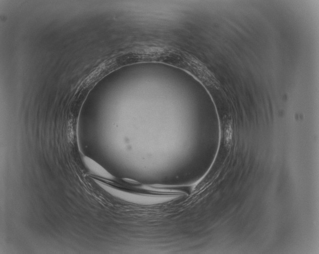 X0000085311204200703091437