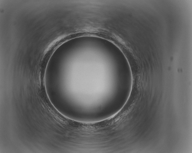 X0000085311214200703091437
