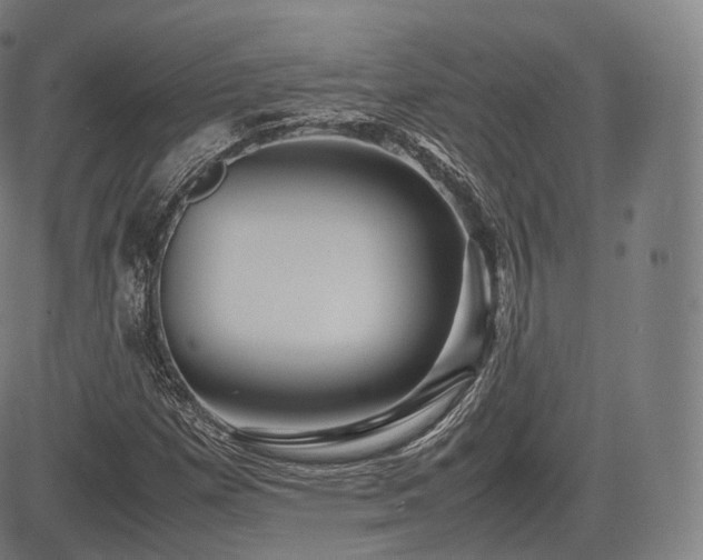 X0000085311257200703091436