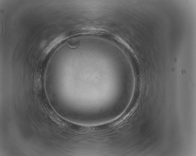 X0000085311259200703091436