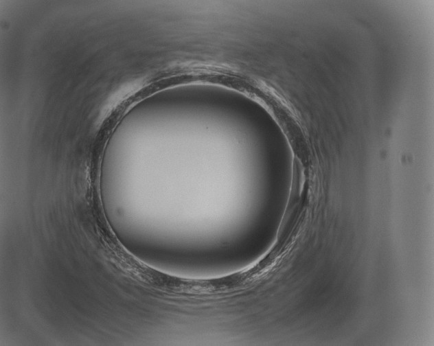 X0000085311261200703091436