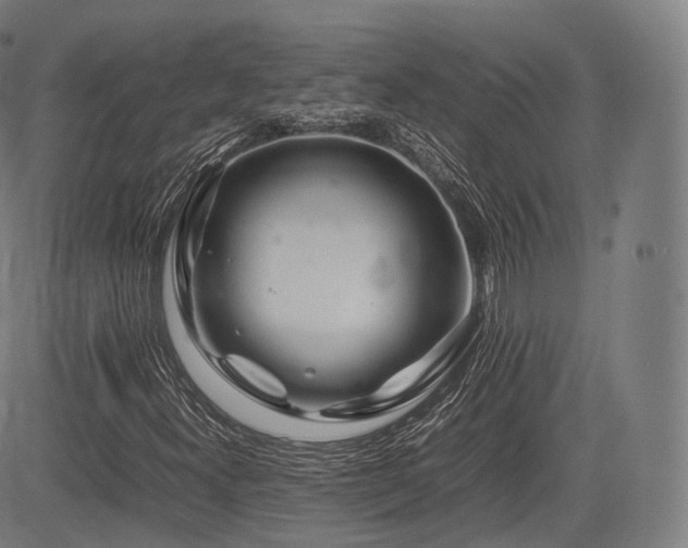 X0000085311300200703091435