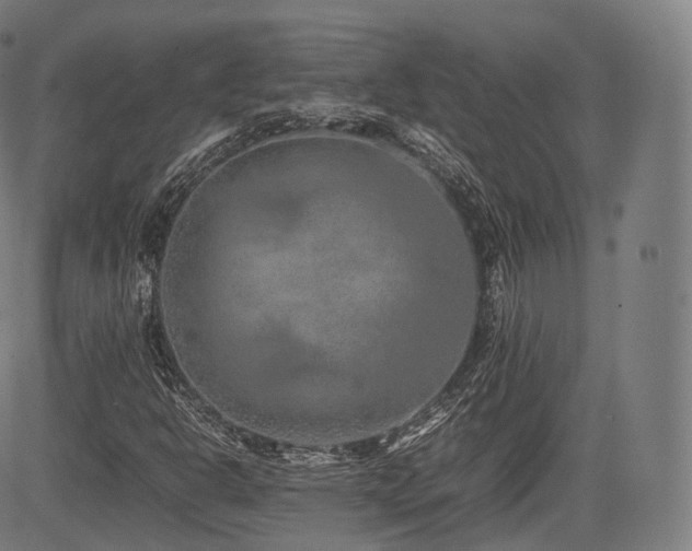 X0000085311302200703091435