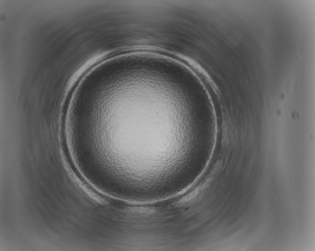 X0000085311333200703091436